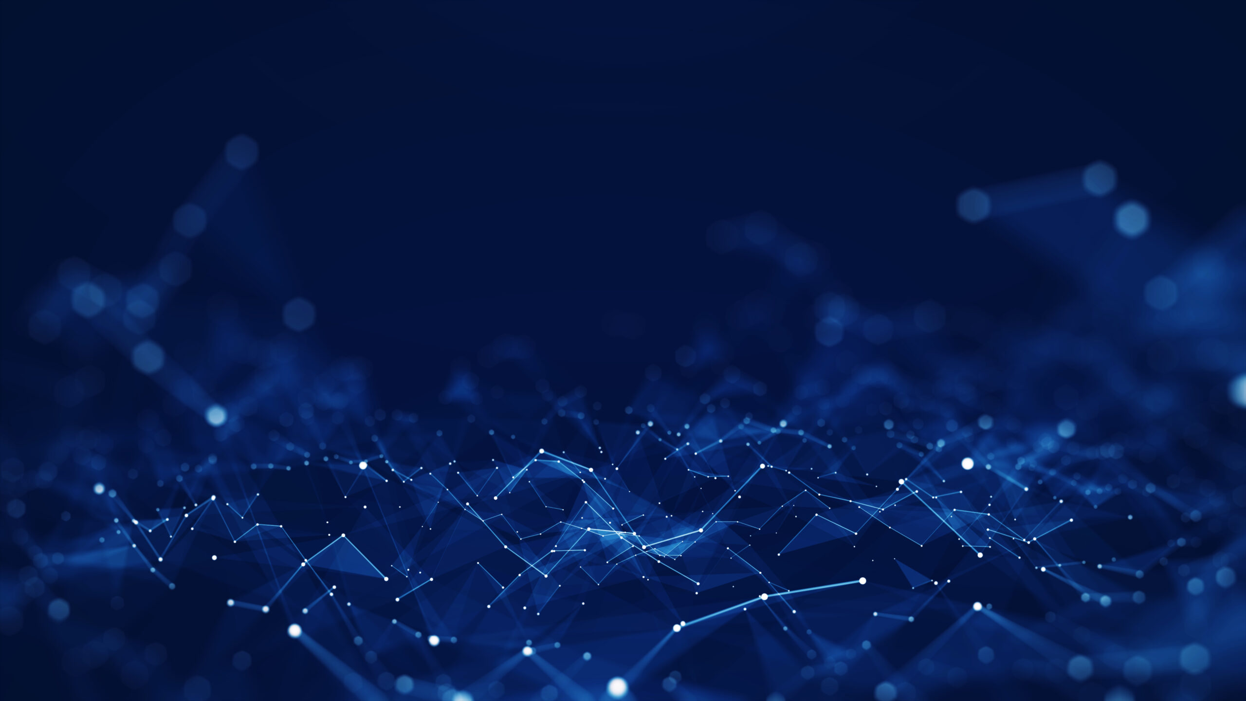 内向型人材の
可能性を解き放つ。